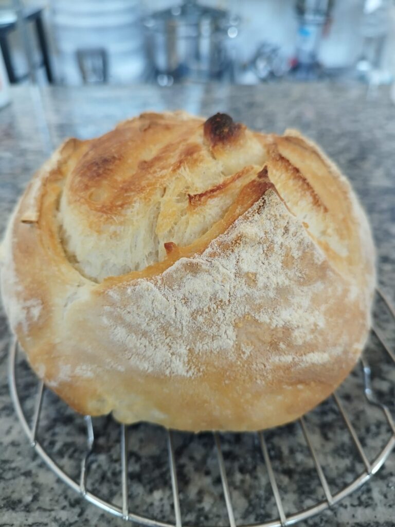 PÃO FERMENTADO 100% COM KOJI